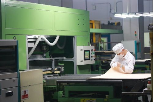 聚焦東莞戰略性新興產業③│新材料 進軍2000億，東莞底氣十足