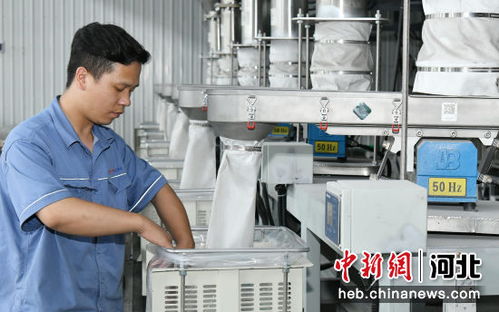 河北任丘 科技賦能企業提檔升級，新材料技術研發引領產業新變革