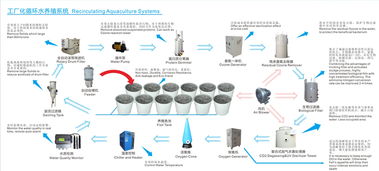 詳解工廠化循環(huán)水養(yǎng)殖系統(tǒng)與計算機系統(tǒng)服務的融合